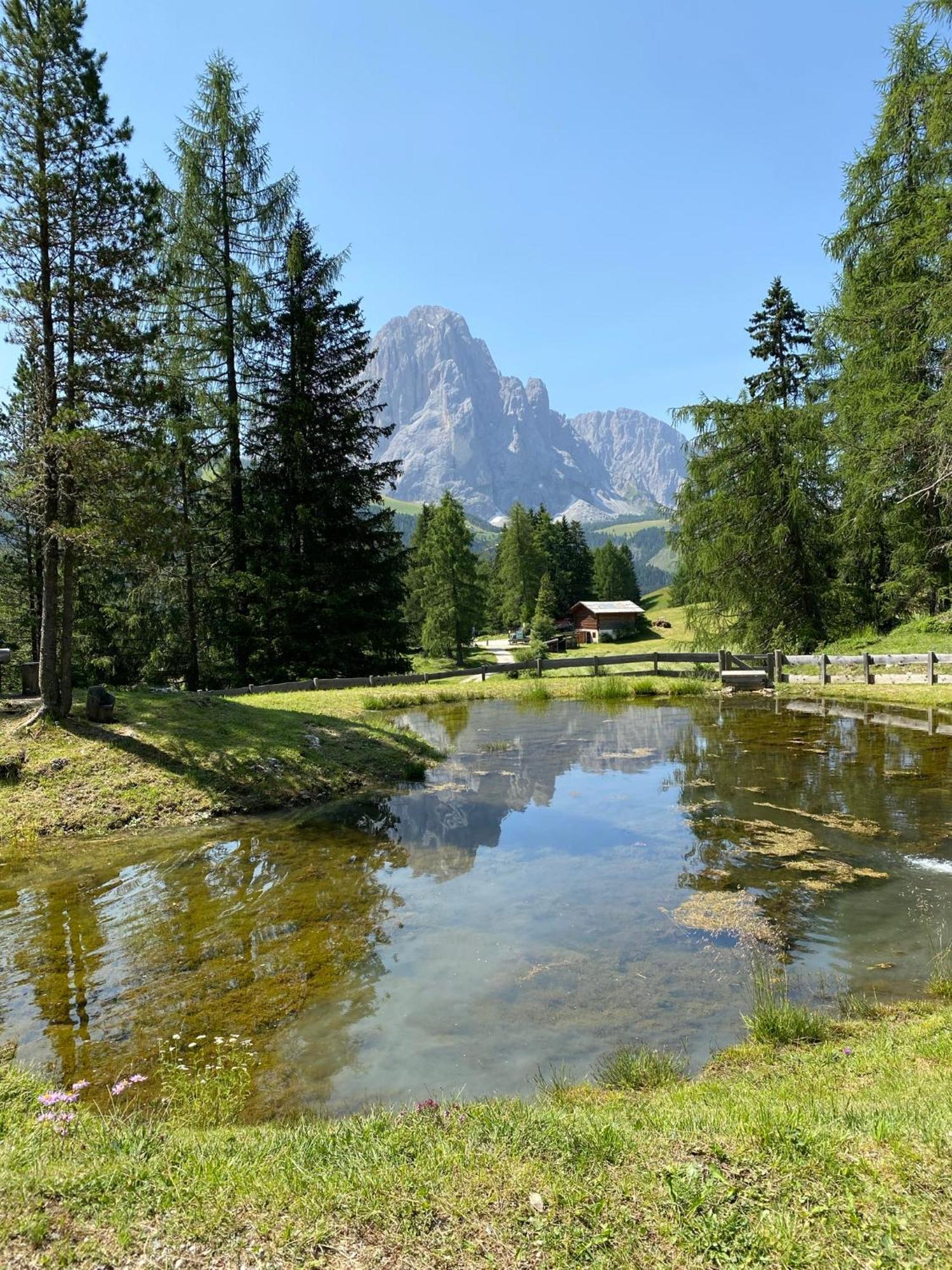 Apartment Nido Selva di Val Gardena Exterior foto